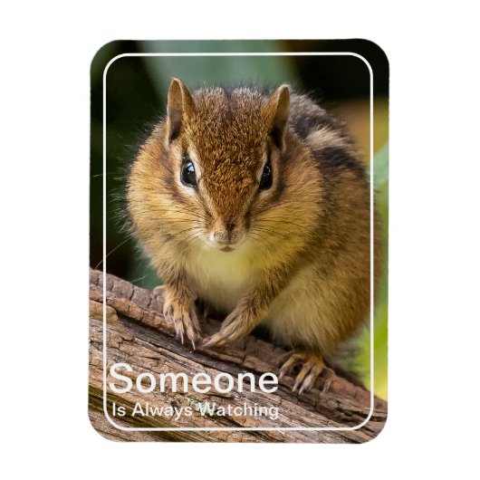 チムンクを見ている マグネット (縦)