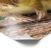 チムンクスタレア フォトプリント            (角)