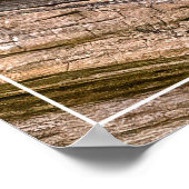 チムンクスタレア ポスター (角)