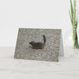 チムンク カード