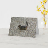 チムンク カード (黄色い花)