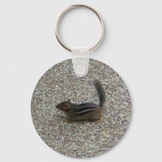 チムンク キーホルダー (正面)