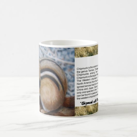 チムンク コーヒーマグカップ (中央)