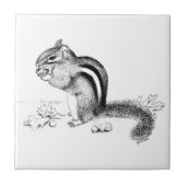 チムンク タイル (正面)