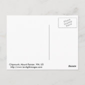 チムンク ポストカード (裏面)