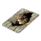 チムンク マグネット (左側)