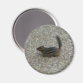 チムンク マグネット (正面/裏面)