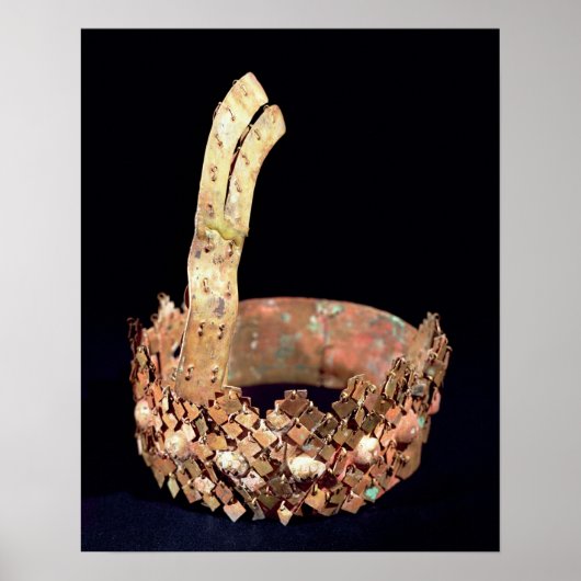 チム・ダイアデム ポスター (正面)