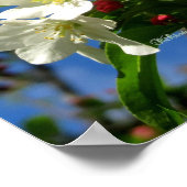 チャイナベリー美しい ポスター (角)