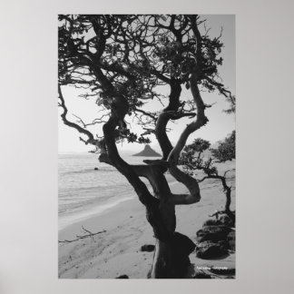 チャイナマンズハット ポスター