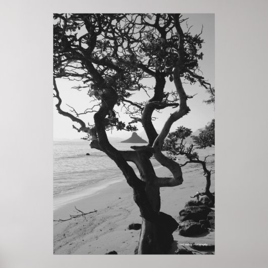 チャイナマンズハット ポスター (正面)