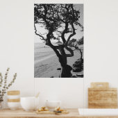 チャイナマンズハット ポスター (キッチン)