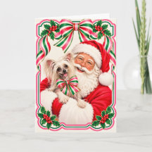 チャイニーズ・クレステッドとサンタのクリスマスカード