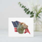 チャイニーズ・シャー・ペイの旗 ポストカード (スタンド正面)