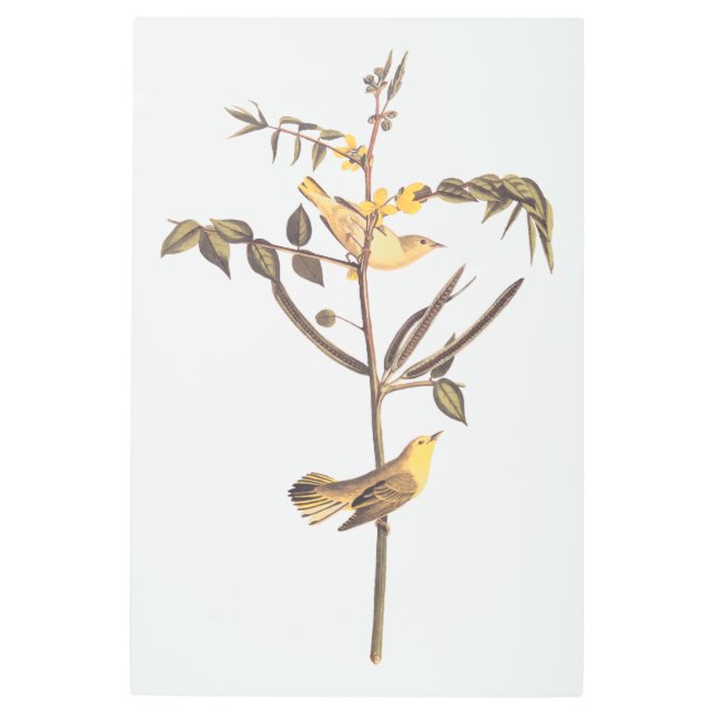 チャイルズウォーブラバードヴィンテージオードボン メタルプリント (正面)