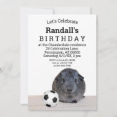 チャイルドパーティー白黒ギニアピッグサッカーボール 招待状 (裏面)