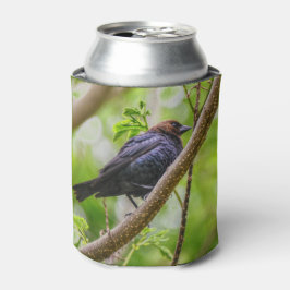 チャイロコウウチョウ 缶クーラー
