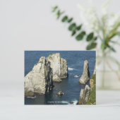 チャウィエ海鳥コロニー（アラスカ） ポストカード (スタンド正面)