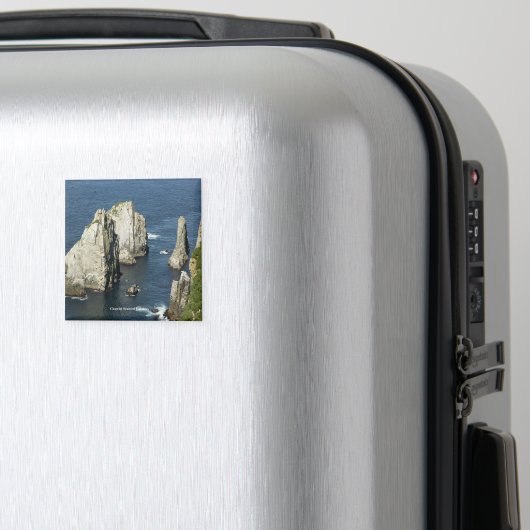 チャウィエ海鳥コロニー（アラスカ） マグネット (インサイチュ (スーツケース))