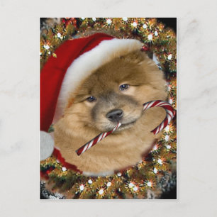 チャウチャウクリスマスキャンディーケンジギフト シーズンポストカード