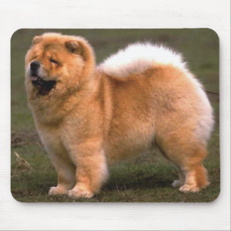 チャウチャウ犬 マウスパッド
