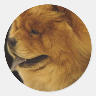 チャウチャウ ラウンドシール