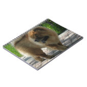 チャウチャウfull.png ノートブック (左側)