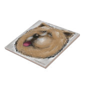 チャウ タイル (側面)