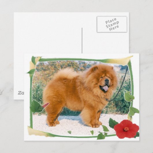 チャウ ポストカード (正面/裏面)