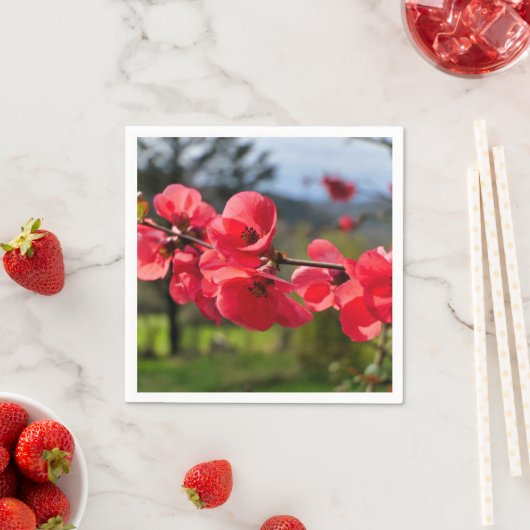 チャエノメレスセソサ紙ナプキンス スタンダードカクテルナプキン (インサイチュ)