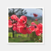 チャエノメレスセソサ紙ナプキンス スタンダードカクテルナプキン (正面)