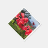 チャエノメレスセソサ紙ナプキンス スタンダードカクテルナプキン (角)