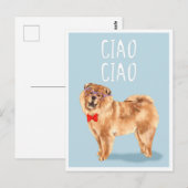 チャオ・チャオ氏は、チャウ・ドッグ・プおもしろいン氏 ポストカード (正面/裏面)