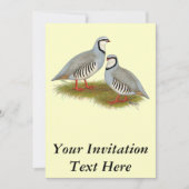 チャカールバズペア 招待状 (正面)