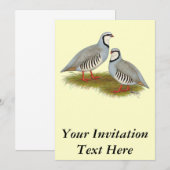 チャカールバズペア 招待状 (正面/裏面)