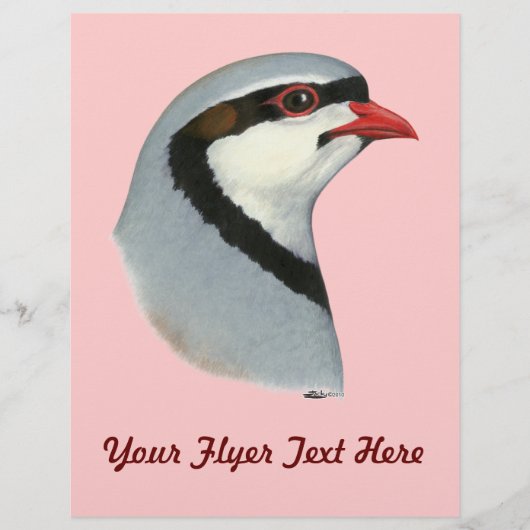 チャカール：パトリッジ岬 チラシ (正面)