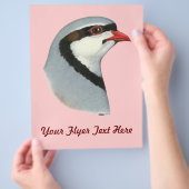 チャカール：パトリッジ岬 チラシ (手)