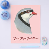 チャカール：パトリッジ岬 チラシ (シングル)