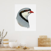 チャカール：パトリッジ岬 ポスター (キッチン)