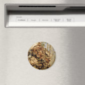 チャガマッシュルーム磁石 マグネット (インサイチュ (食洗機))