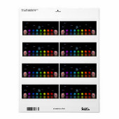 チャクラの鳥とオウム ラベル (フルシート)