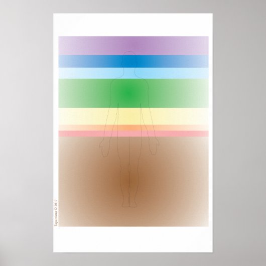 チャクラシステムポスター ポスター (正面)