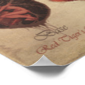 チャクラ妖精周期 ポスター (角)