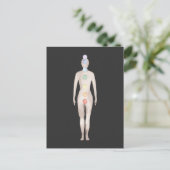 チャクラ ポストカード (スタンド正面)