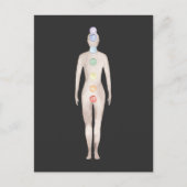 チャクラ ポストカード (正面)