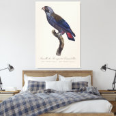 チャコウインコ (Pionus fuscus) キャンバスプリント (インサイチュ (寝室))