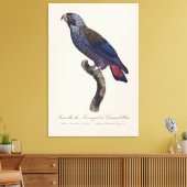 チャコウインコ (Pionus fuscus) キャンバスプリント (インサイチュ (リビング))