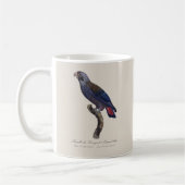 チャコウインコ (Pionus fuscus) コーヒーマグカップ (左)