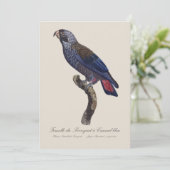 チャコウインコ (Pionus fuscus) サンキューカード (スタンド正面)