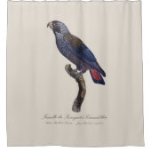 チャコウインコ (Pionus fuscus) シャワーカーテン (正面)